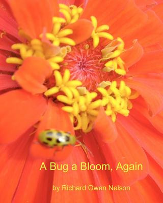 Kniha A Bug A Bloom, Again: Blossoms And Bugs For Kids Of All Ages Richard Owen Nelson