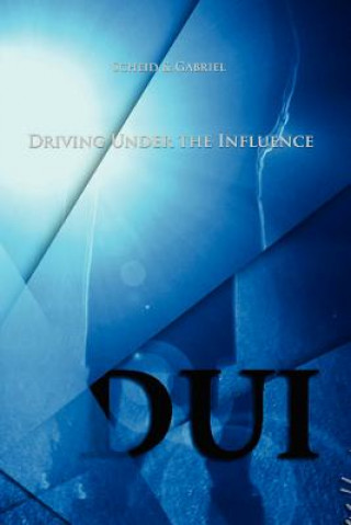 Boek DUI - Driving Under The Influence Christian Scheid