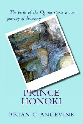Kniha Prince Honoki Brian Angevine