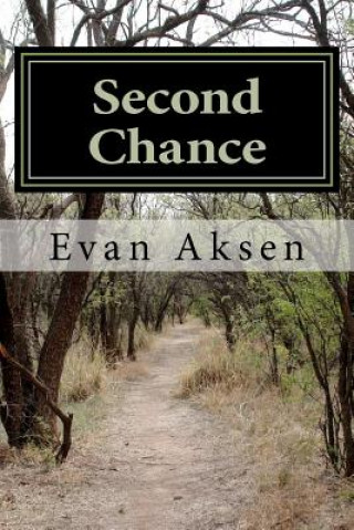 Könyv Second Chance: Dreams Come True ->In A Second Lifetime Evan Aksen