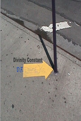 Knjiga Divinity Constant D F Downey