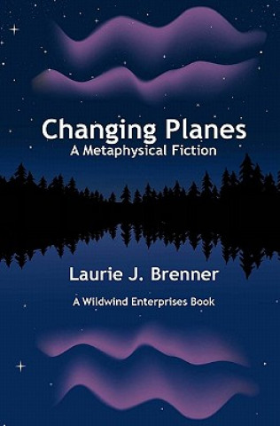 Knjiga Changing Planes Laurie J Brenner