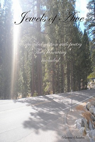 Βιβλίο Jewels Of Awe: Expanded Edition With Poetry "The Knowing" Included Patricia Sanders