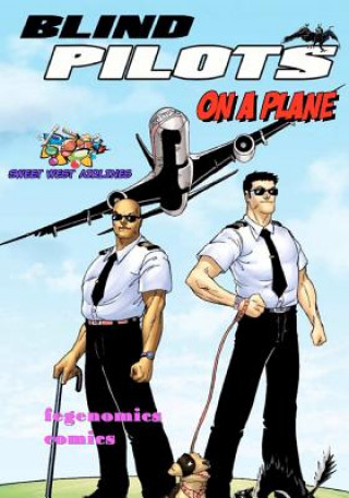 Könyv Blind Pilots On A Plane Danzel Fegen