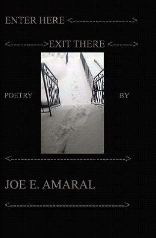 Kniha Enter Here, Exit There Joe E Amaral