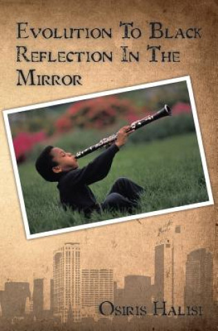 Книга Evolution To Black Reflection In The Mirror Osiris Halisi