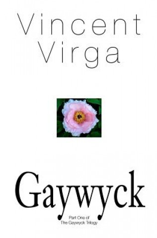 Kniha Gaywyck Vincent Virga