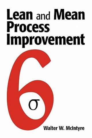 Kniha Lean and Mean Process Improvement Walter W McIntyre