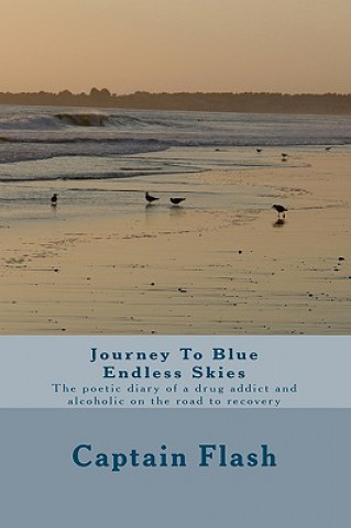 Knjiga Journey To Blue Endless Skies: The poetic diary of a drug addict and alcoholic on the road to recovery Captain Flash