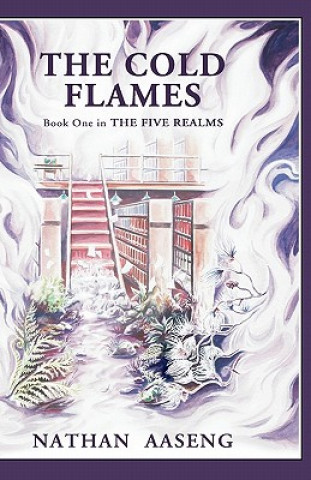 Carte Cold Flames: Book One Of The Five Realms Nathan Aaseng