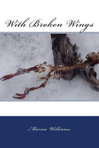 Book With Broken Wings Marisa Williams