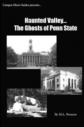 Kniha Haunted Valley... The Ghosts Of Penn State: Ghost Stories And Haunted Tales Of Penn State Matt Swayne