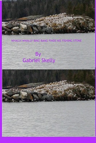 Książka Whally Whally Bing Bang Finds His Fishing Stone Gabriel Skelly