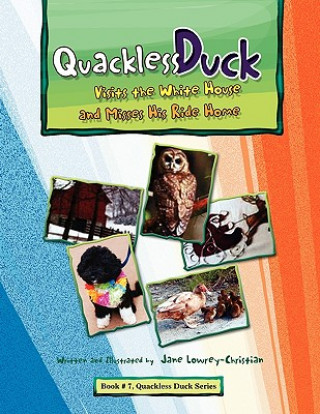 Book Quackless Duck Visits the White House Jane Lowrey-Christian