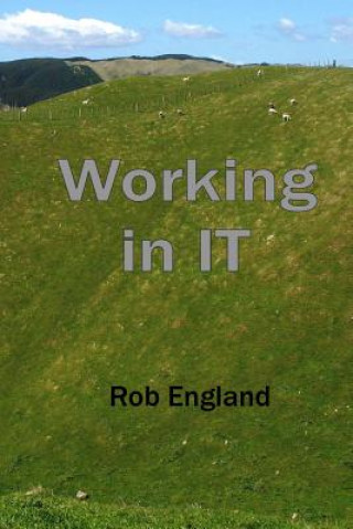 Könyv Working in IT Rob England