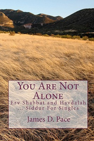 Kniha You Are Not Alone: Erv Shabbat to Havdalah ... Siddur For Singles James D Pace