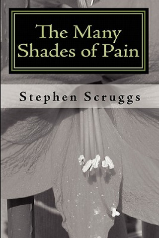 Carte The Many Shades of Pain Stephen Scruggs