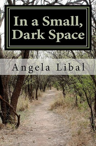 Книга In a Small, Dark Space Angela Libal