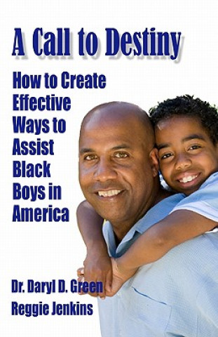 Kniha A Call to Destiny: How to Create Effective Ways to Assist Black Boys in America MR Reggie Jenkins