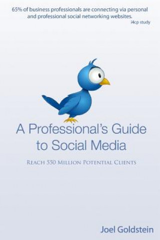 Carte A Professionals Guide to Social Media: The complete step by step guide for an entrepreneur Joel Goldstein
