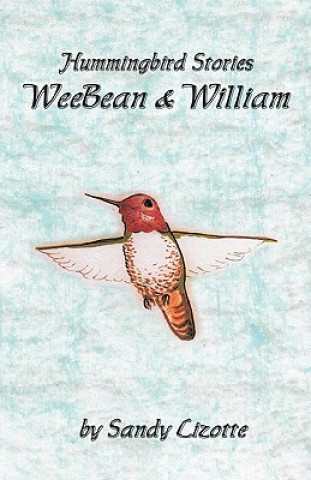 Carte Hummingbird Stories - WeeBean & William: Hummingbird baby and a little boy Mike Biallas