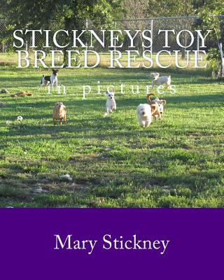 Kniha Stickneys Toy Breed Rescue in pictures: 2005 thru 2011 Mary Stickney