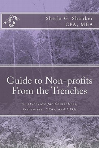 Carte Guide to Non-profits- From the Trenches: An Overview for Controllers, Treasurers, CPAs and CFOs Sheila G Shanker Cpa
