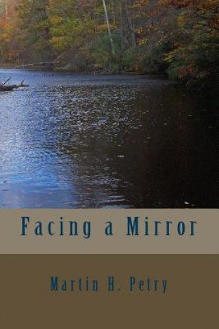 Book Facing a Mirror Martin H Petry