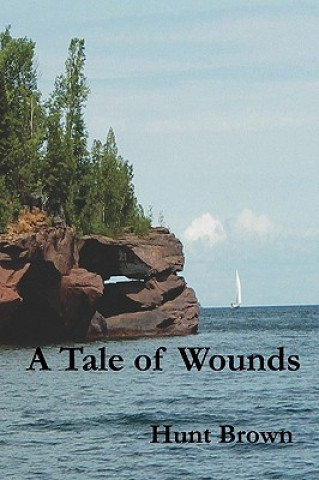 Kniha A Tale of Wounds Hunt Brown