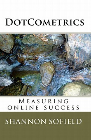 Książka DotCometrics: Measuring online success Shannon Sofield