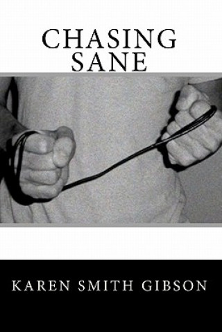 Boek Chasing Sane Karen Smith Gibson