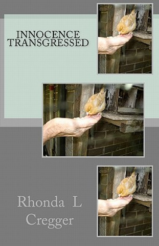 Kniha Innocence Transgressed Rhonda L Cregger