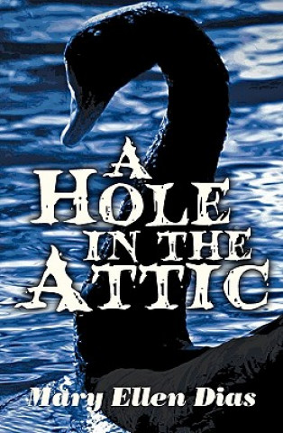 Kniha A Hole In the Attic Mary Ellen Dias