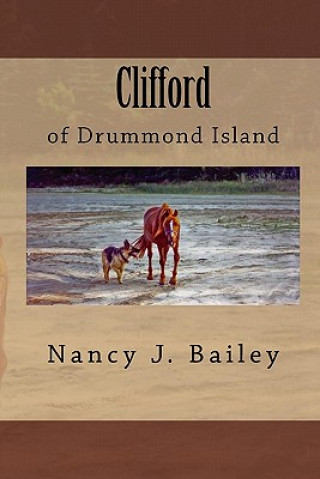 Könyv Clifford of Drummond Island Nancy J Bailey
