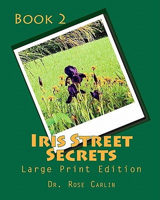 Knjiga Iris Street Secrets: Large Print Edition Rose Carlin