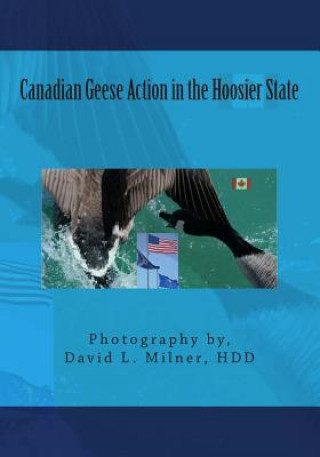 Knjiga Canadian Geese Action in the Hoosier State David L Milner Hdd