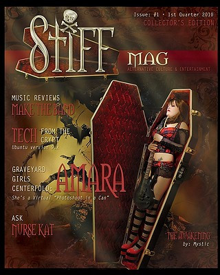 Knjiga Stiffmag D Shane Trotter
