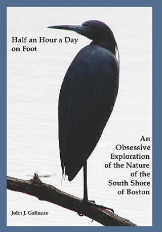 Книга Half an Hour a Day on Foot: An Obsessive Exploration of the Nature and History of the South Shore of Boston John J Galluzzo