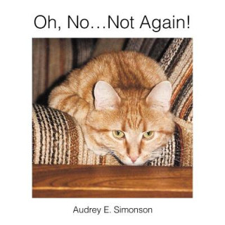 Kniha Oh, No.Not Again! Audrey E Simonson