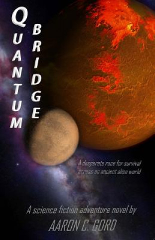 Knjiga Quantum Bridge Aaron C Gord
