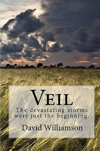 Könyv Veil: The devastating storms were just the beginning. David Williamson