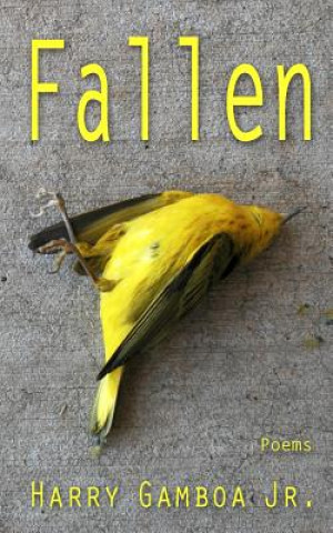 Book Fallen Harry Gamboa Jr