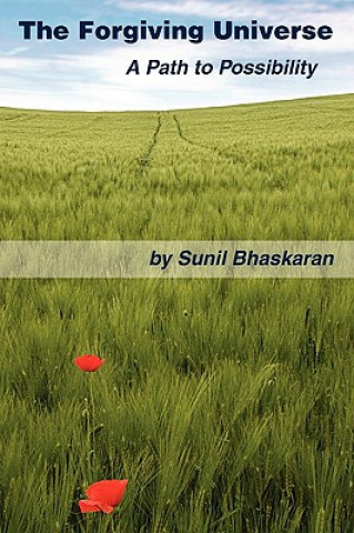 Book The Forgiving Universe Sunil Bhaskaran