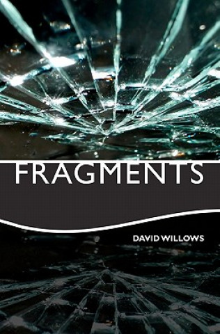 Книга Fragments David Willows