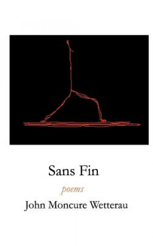 Knjiga Sans Fin John Moncure Wetterau