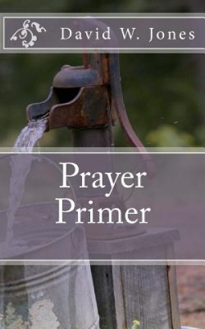 Book Prayer Primer David W Jones