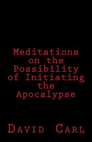 Kniha Meditation on the Possibility of Initiating the Apocalypse David Carl