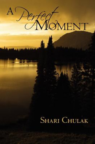 Book A Perfect Moment Shari Chulak