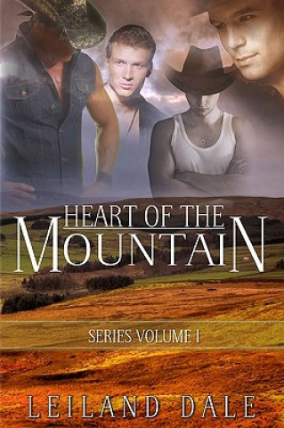 Buch Heart of the Mountain Leiland Dale