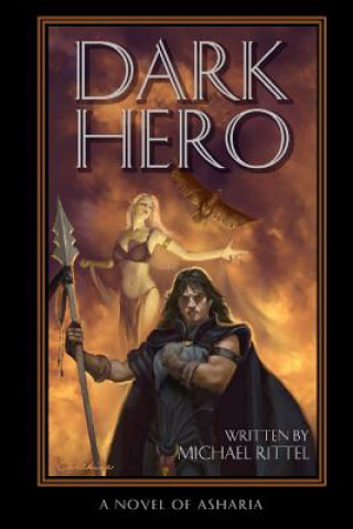 Kniha Dark Hero Michael Rittel